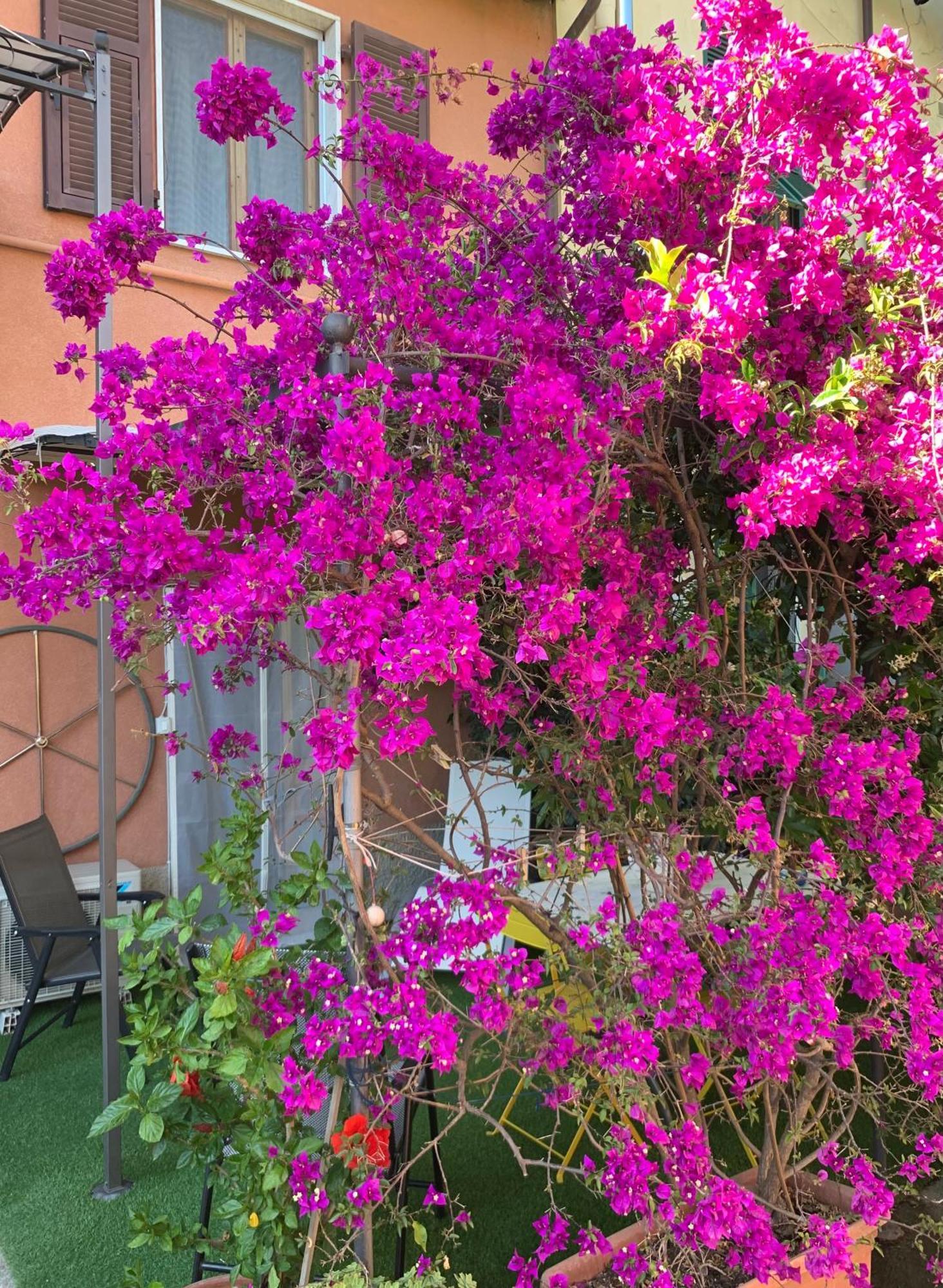 Desiree Apartment La Spezia Exterior foto